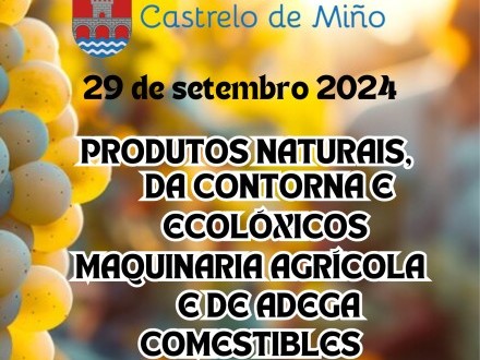 FEIRA DE CASTRELO